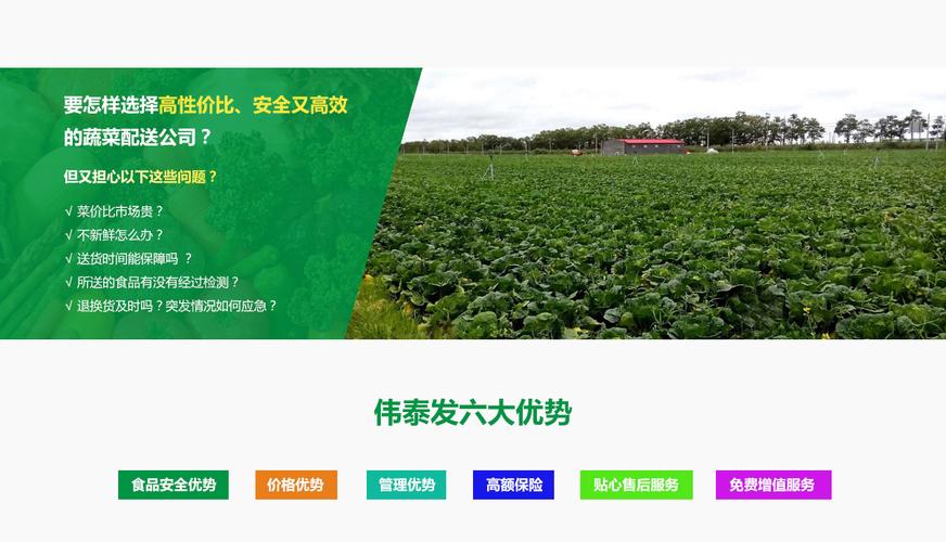 探寻优质蔬菜配送服务：保障与优势