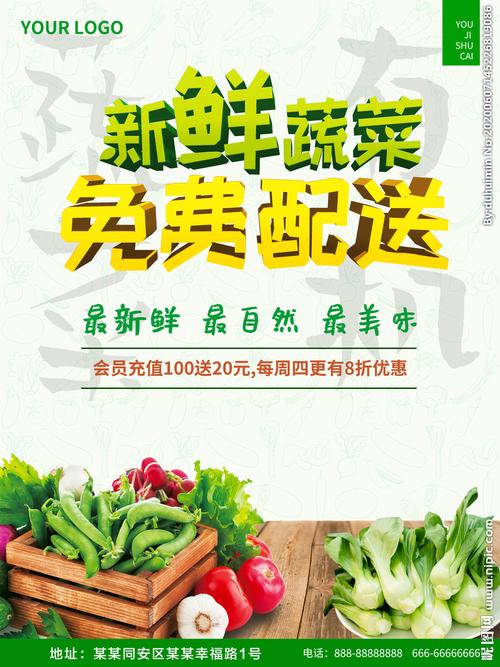 畅享新鲜：蔬菜免费配送开启健康生活新篇