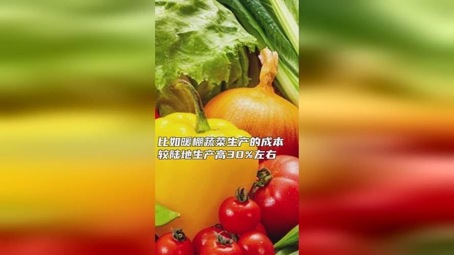 12月蔬菜价格态势与后续走势剖析