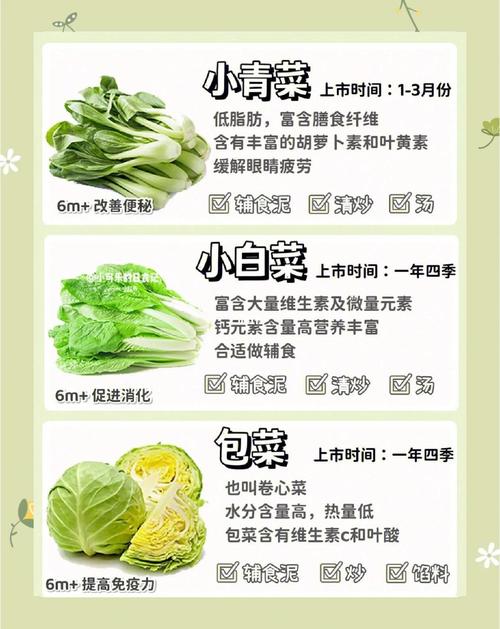 应季蔬菜：营养宝库与烹饪秘籍