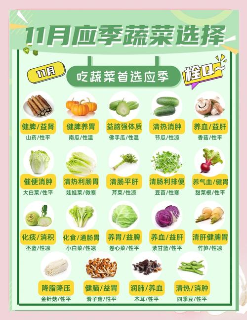 11月应季蔬菜：开启健康饮食新篇
