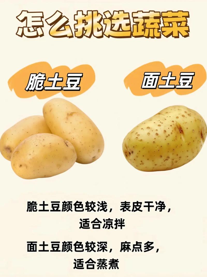 蔬菜挑选秘籍：让你成为选菜小能手