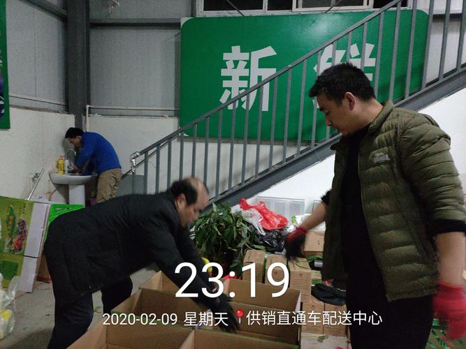 抗疫中的蔬菜保供行动