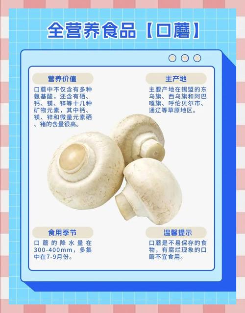 你不知道的口蘑小知识大揭秘