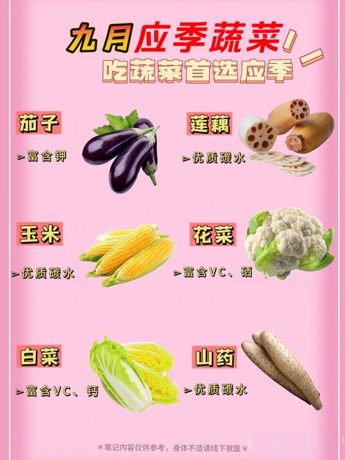 九月应季蔬菜：开启健康饮食新选择