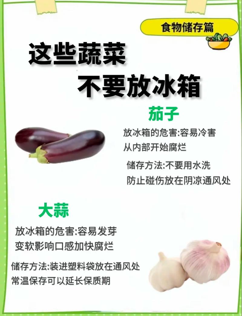 生活中的蔬菜放置小常识