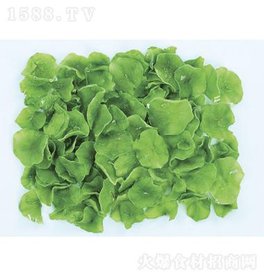东莞市琦轩食品有限公司：探寻食材招商新机遇