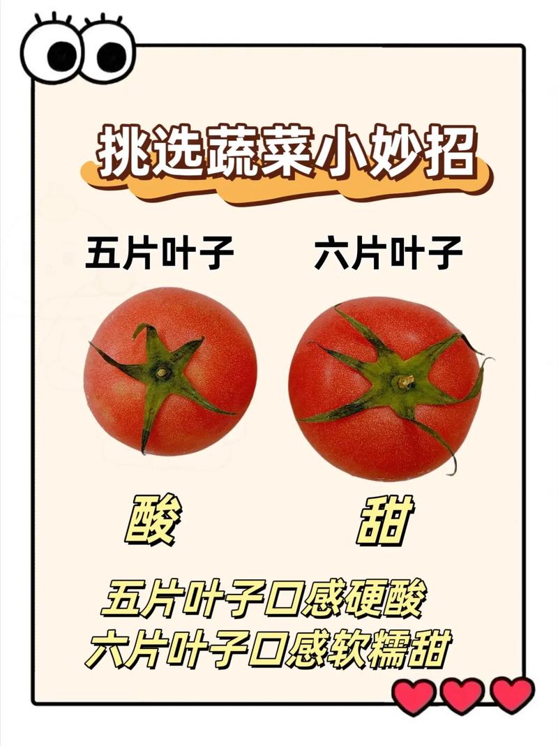 蔬菜挑选秘籍：让你成为买菜小能手