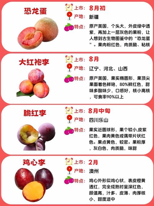 多样美味李子：水果中的璀璨明珠