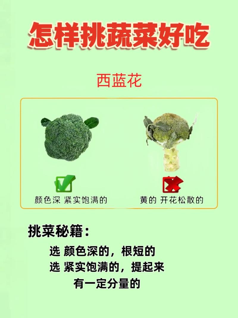 蔬菜挑选秘籍：让美味触手可得