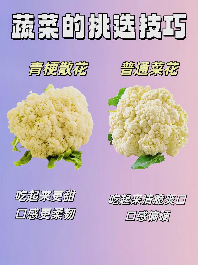 蔬菜挑选秘籍：让你成为选菜小能手