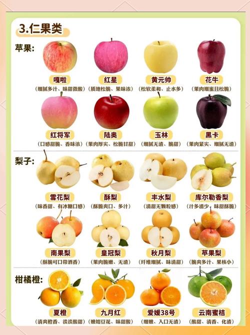 九月水果盛宴：解锁秋日甜蜜滋味