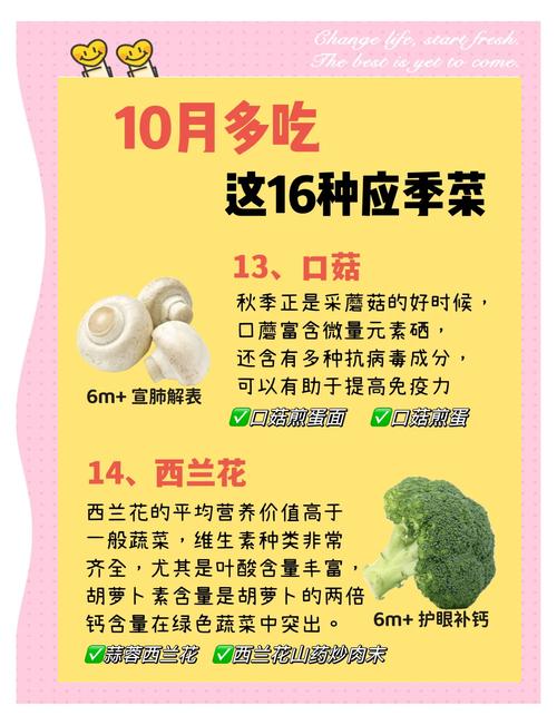 宝宝最爱的10月应季蔬菜推荐