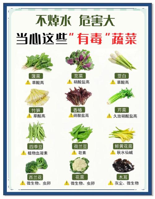 蔬菜焯水：健康饮食的关键步骤