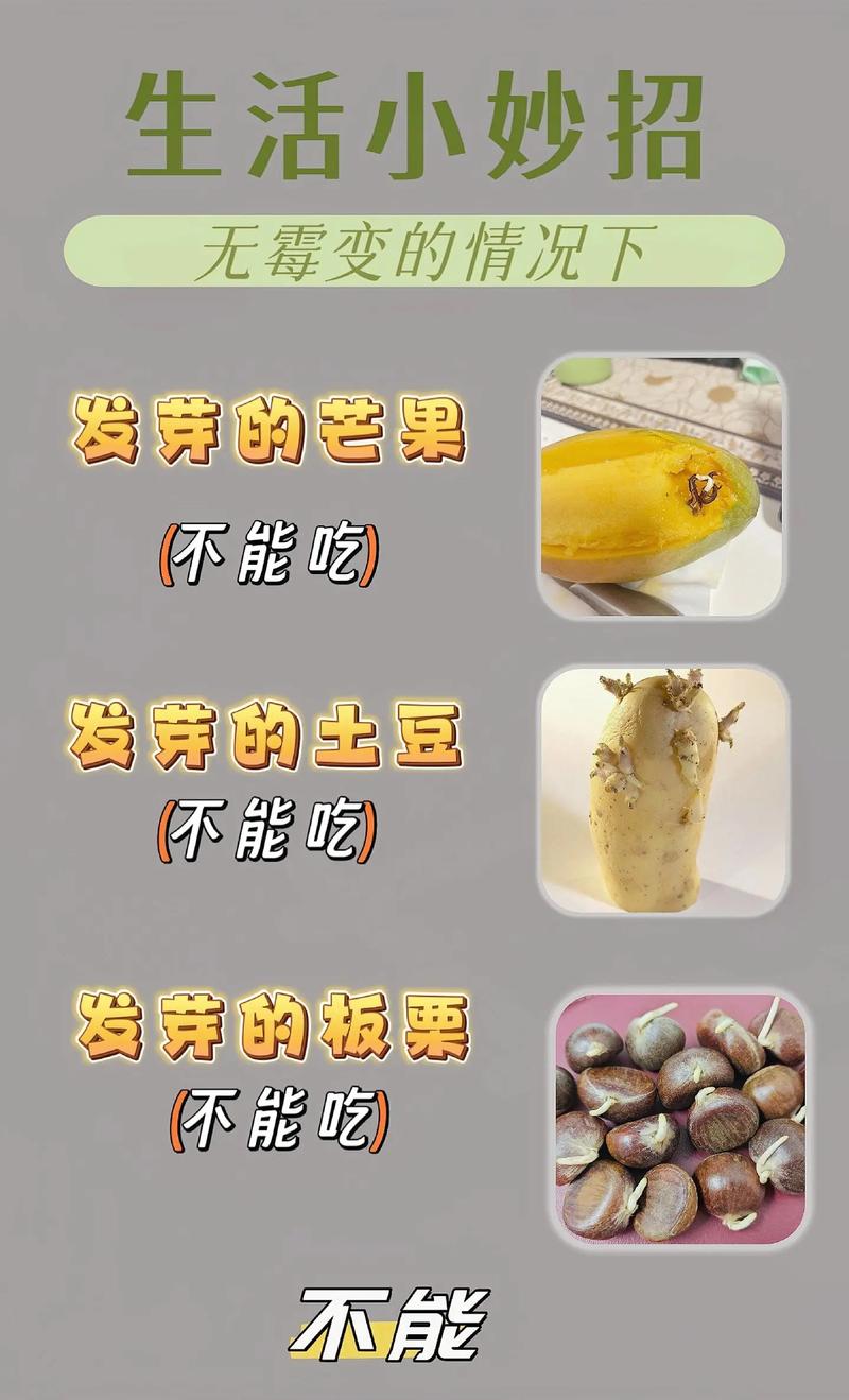 发芽蔬菜的食用禁忌与健康知识