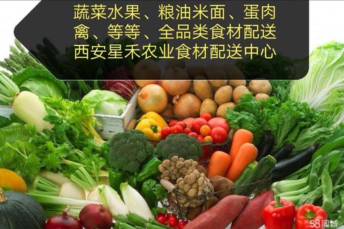 陕西副食品及蔬菜配送行业发展与优势