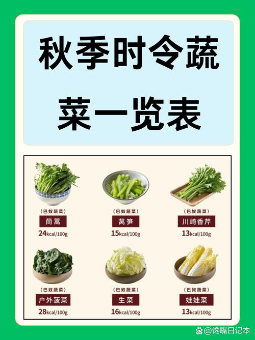 秋季时令蔬菜：大自然的馈赠