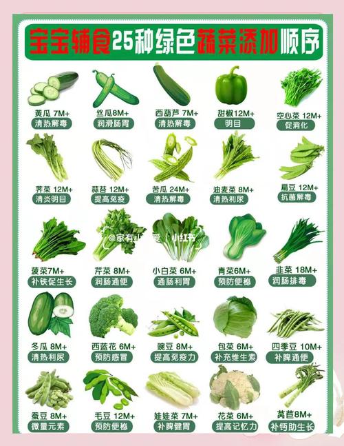 宝宝辅食添加：绿色蔬菜的科学顺序解析