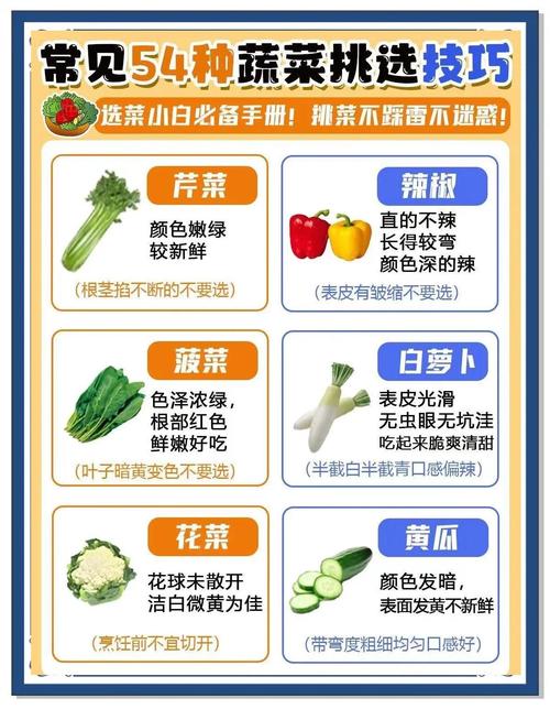买菜不迷茫：54种蔬菜挑选秘籍全解析