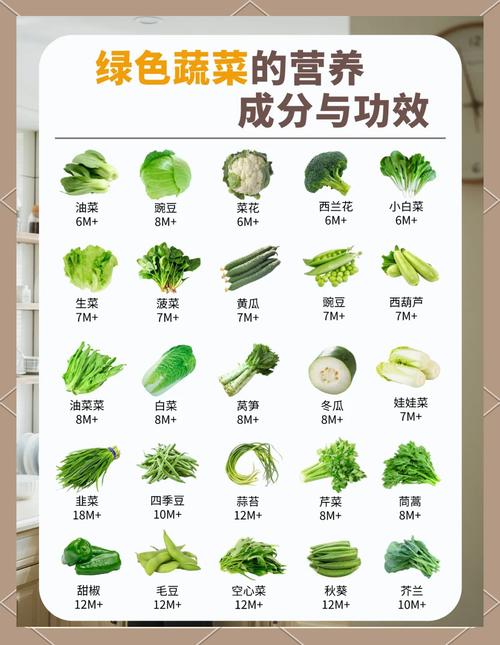 宝宝辅食蔬菜推荐及科学添加顺序