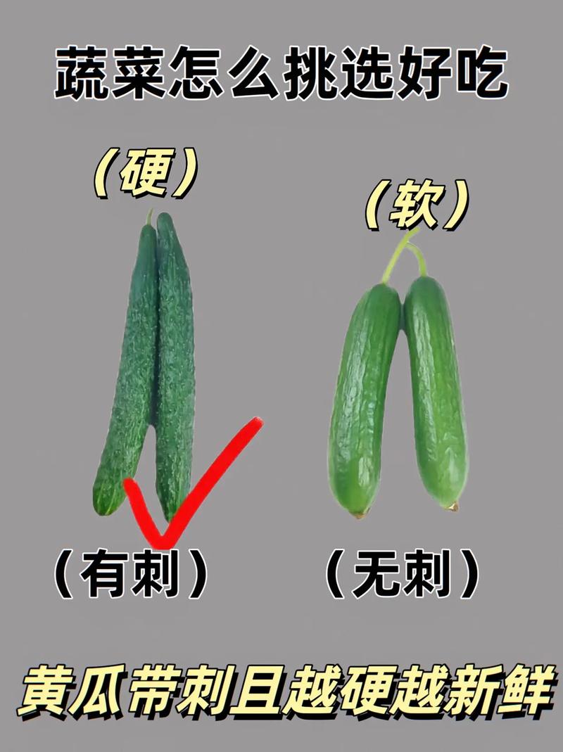 蔬菜挑选秘籍：让美味升级