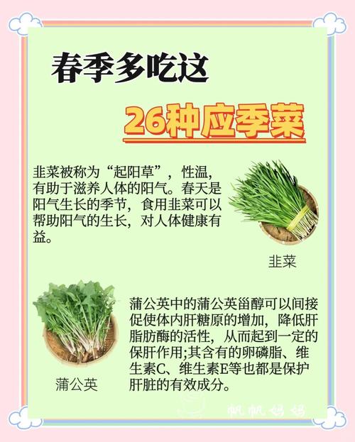 春天必吃的26种新鲜蔬菜：开启健康春日饮食之旅