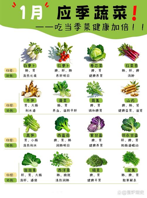1月应季蔬菜：健康的天然馈赠