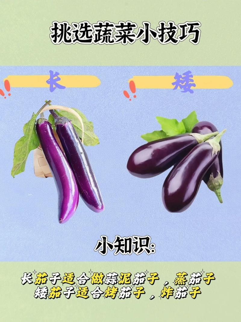 蔬菜挑选实用小技巧，你掌握了吗？