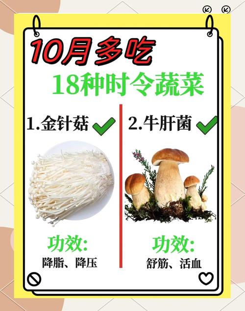 10月时令蔬菜：健康与美味的完美融合