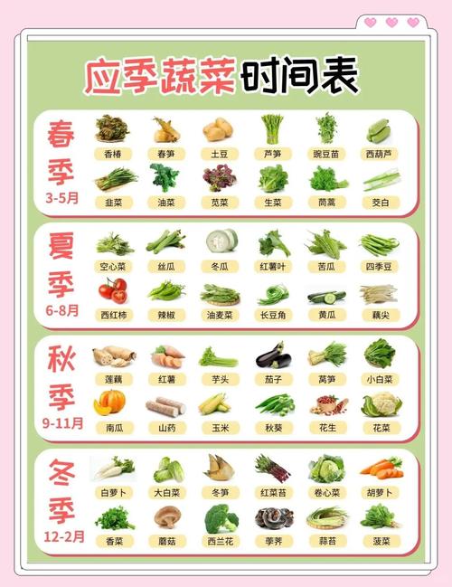 冬季时令蔬菜全攻略