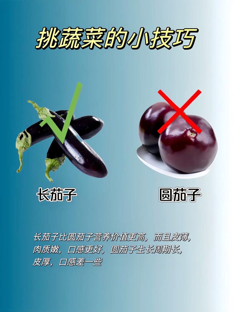 蔬菜挑选小窍门：让你成为选菜小能手