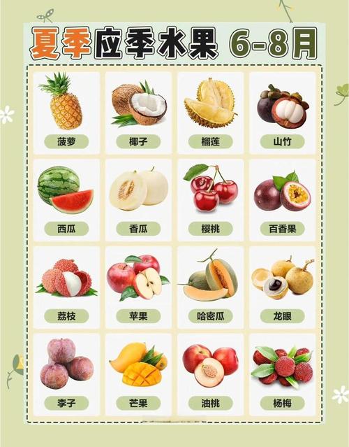 水果店铺推荐大赏：探寻新鲜美味的水果天地