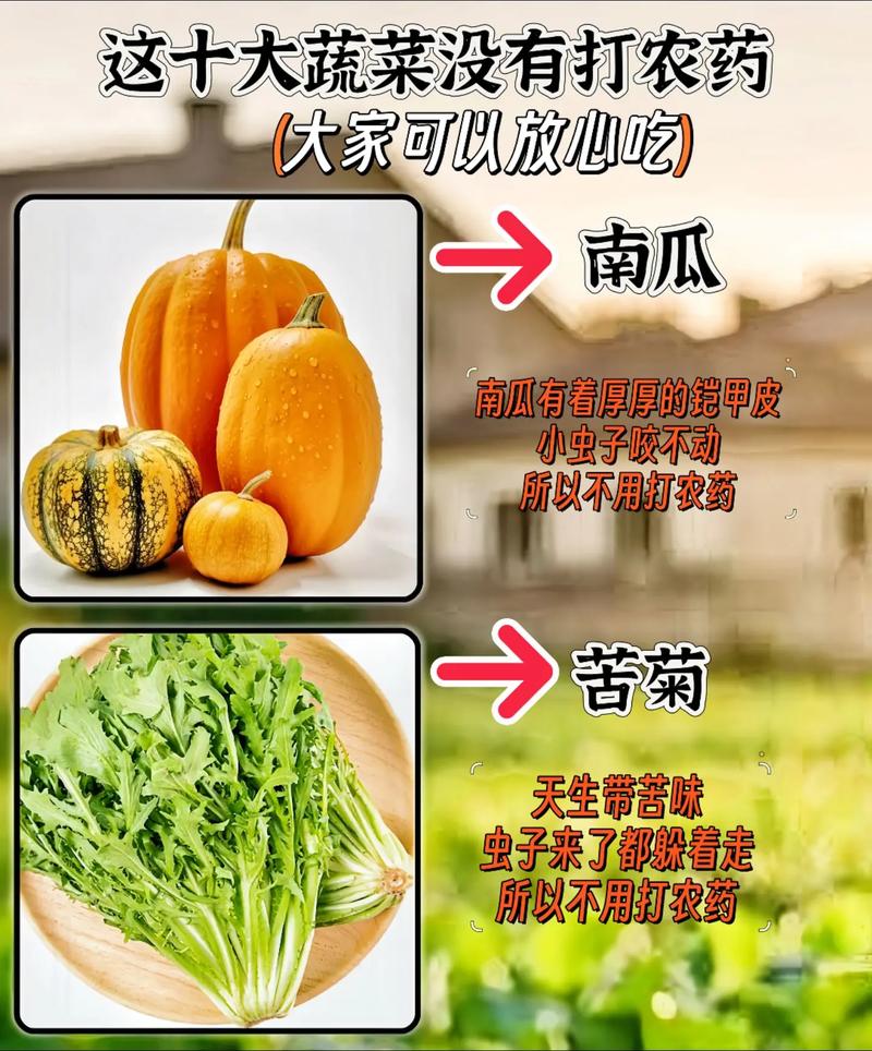 十大无农药蔬菜，放心食用的健康之选