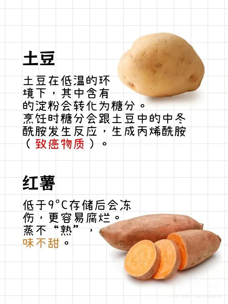 冰箱并非万能：这些蔬菜不宜冷藏保存