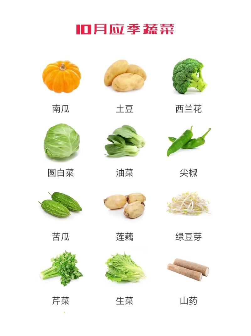 10月份应季蔬菜：健康饮食的正确打开方式