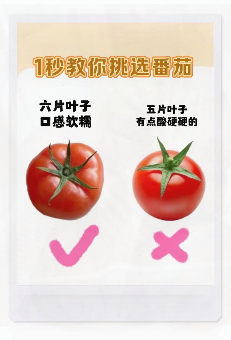 番茄挑选秘籍：口感差异大揭秘