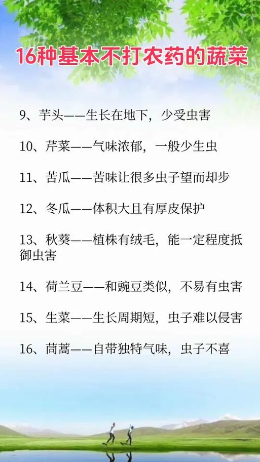 健康之选：16种基本无需打农药的蔬菜