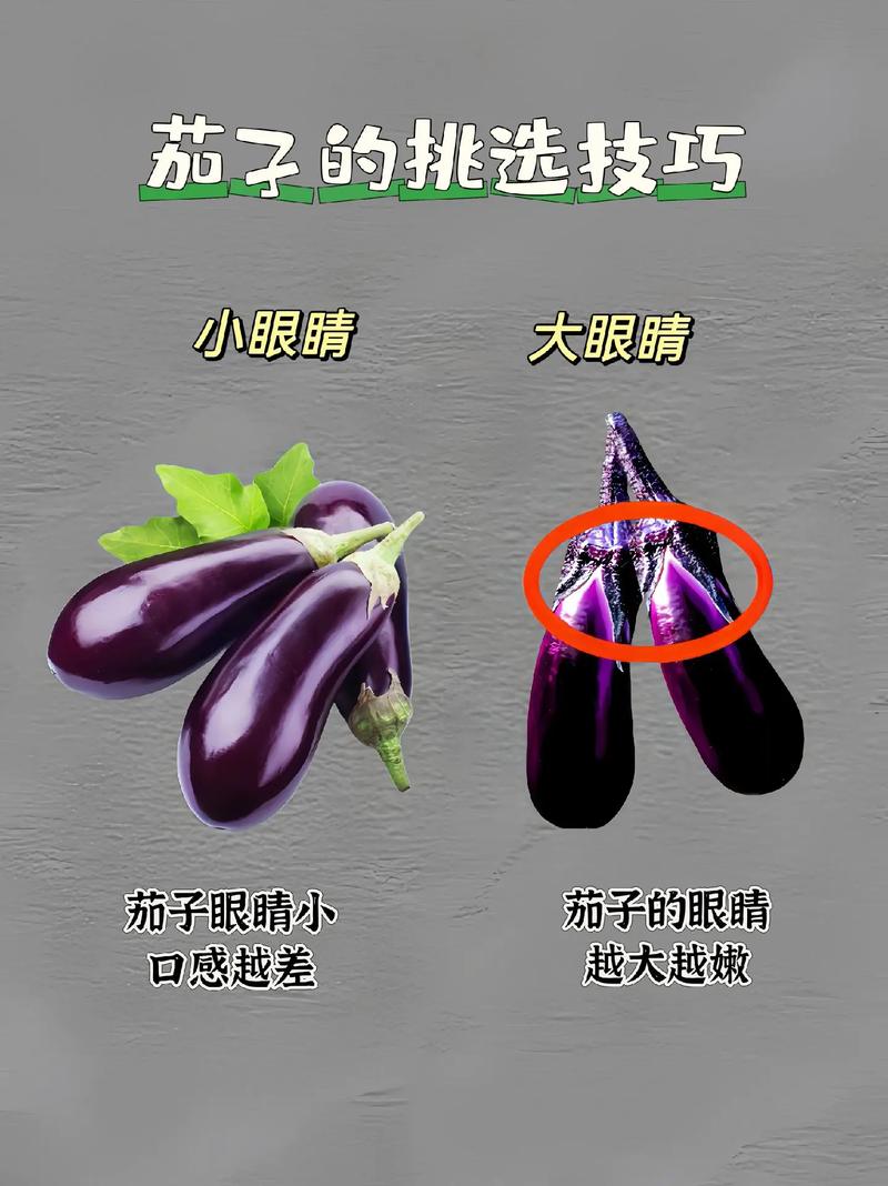 蔬菜挑选秘籍：让你成为食材挑选达人