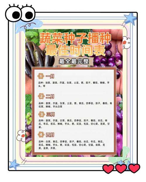 春日蔬菜种植秘籍：开启田园新篇